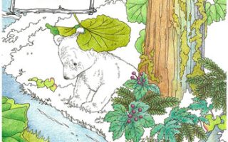 317. Forest Animals Coloring Book Cover - Kayliebooks 317. Forest Animals Coloring Book Preview Download Kayliebooks