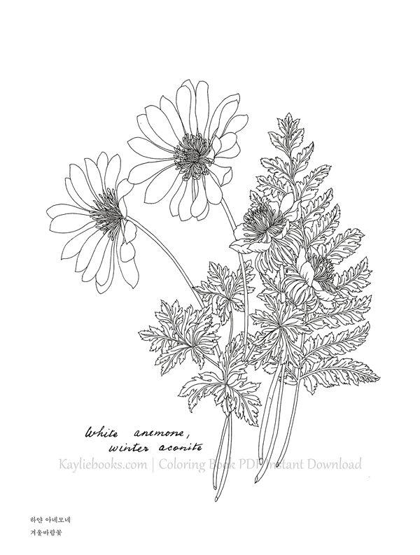 514. The Flower Year Botanical Coloring Book Preview Download Kayliebooks