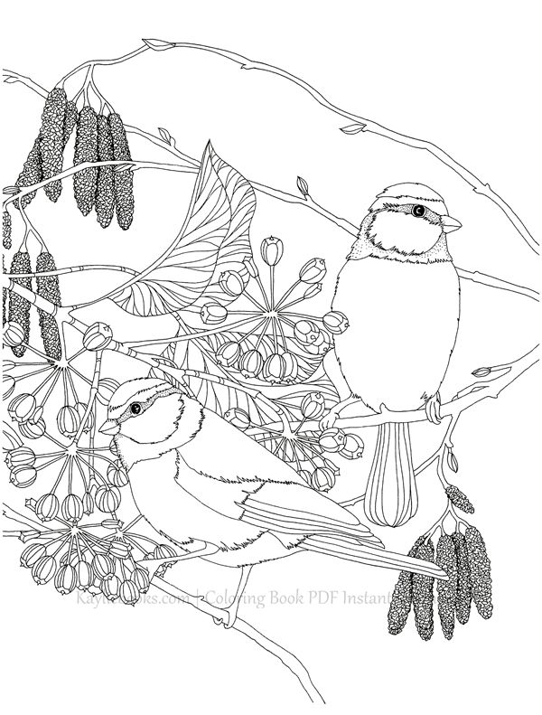 2019-11-11-10-46-27_015 514. The Flower Year Botanical Coloring Book Preview Download Kayliebooks