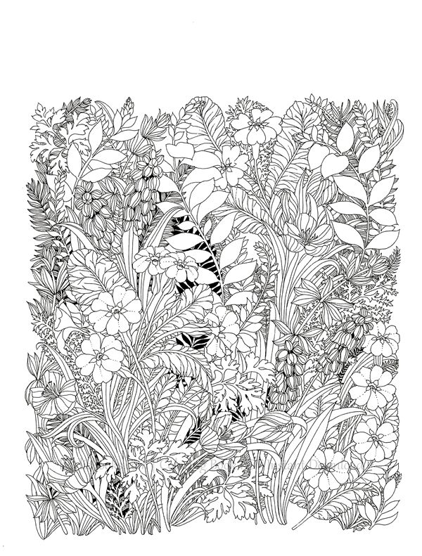 2019-11-11-10-46-27_023 514. The Flower Year Botanical Coloring Book Preview Download Kayliebooks
