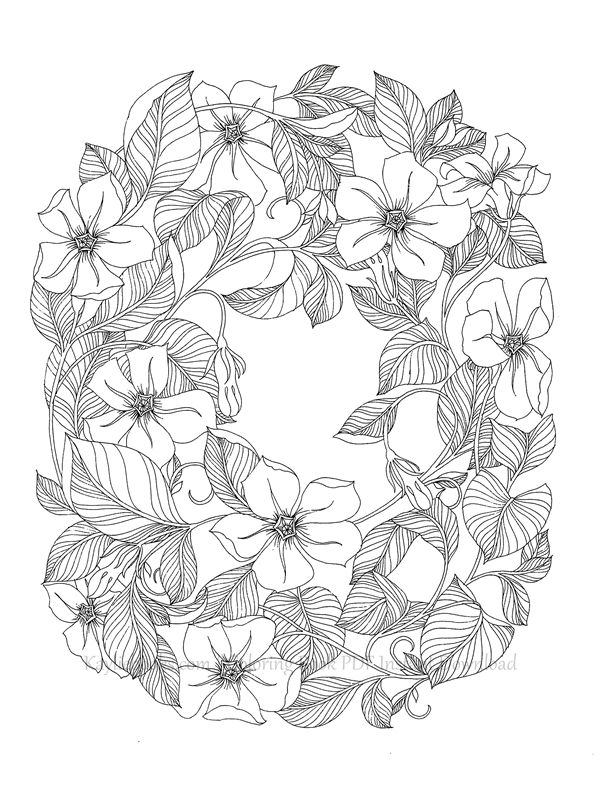 2019-11-11-10-46-27_024 514. The Flower Year Botanical Coloring Book Preview Download Kayliebooks