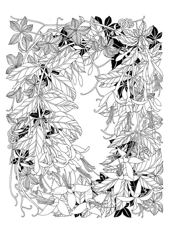 2019-11-11-10-46-27_072 514. The Flower Year Botanical Coloring Book Preview Download Kayliebooks