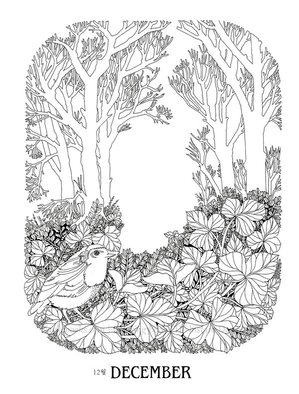 2019-11-11-10-46-27_091 514. The Flower Year Botanical Coloring Book Preview Download Kayliebooks