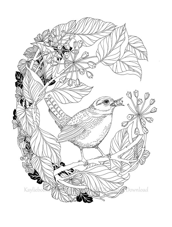 2019-11-11-10-46-27_092 514. The Flower Year Botanical Coloring Book Preview Download Kayliebooks