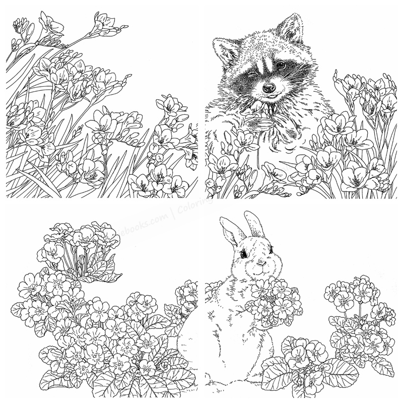 a 632. Gifts From Animals Coloring Book ~ Featuring Birth Flower Preview Download Kayliebooks