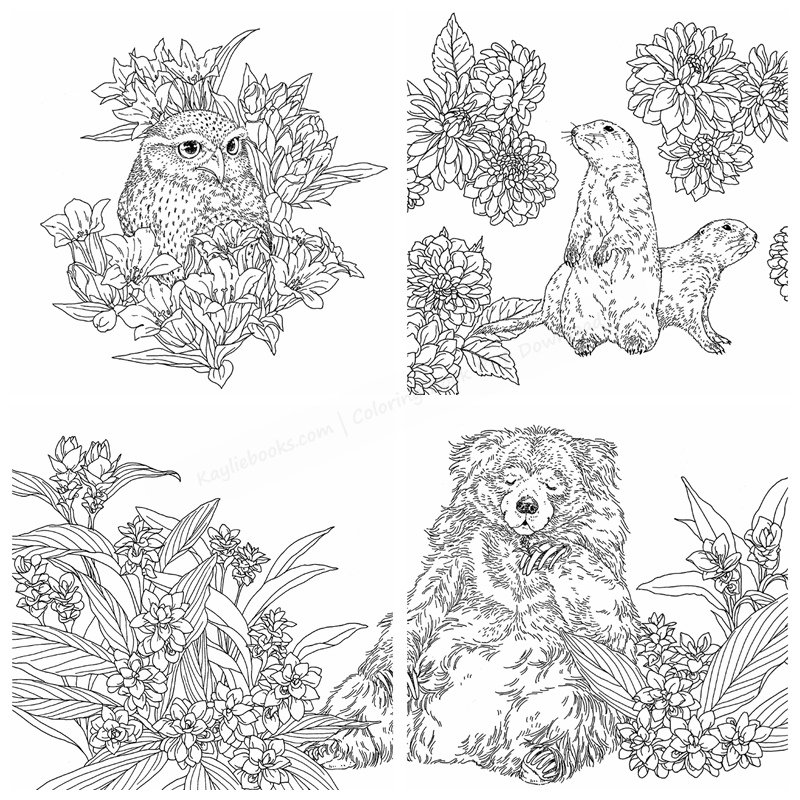 e 632. Gifts From Animals Coloring Book ~ Featuring Birth Flower Preview Download Kayliebooks