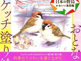 876. Beautiful Wild Birds in Japan Coloring Book Cover - Kayliebooks 876. Beautiful Wild Birds in Japan Coloring Book Preview Download Kayliebooks