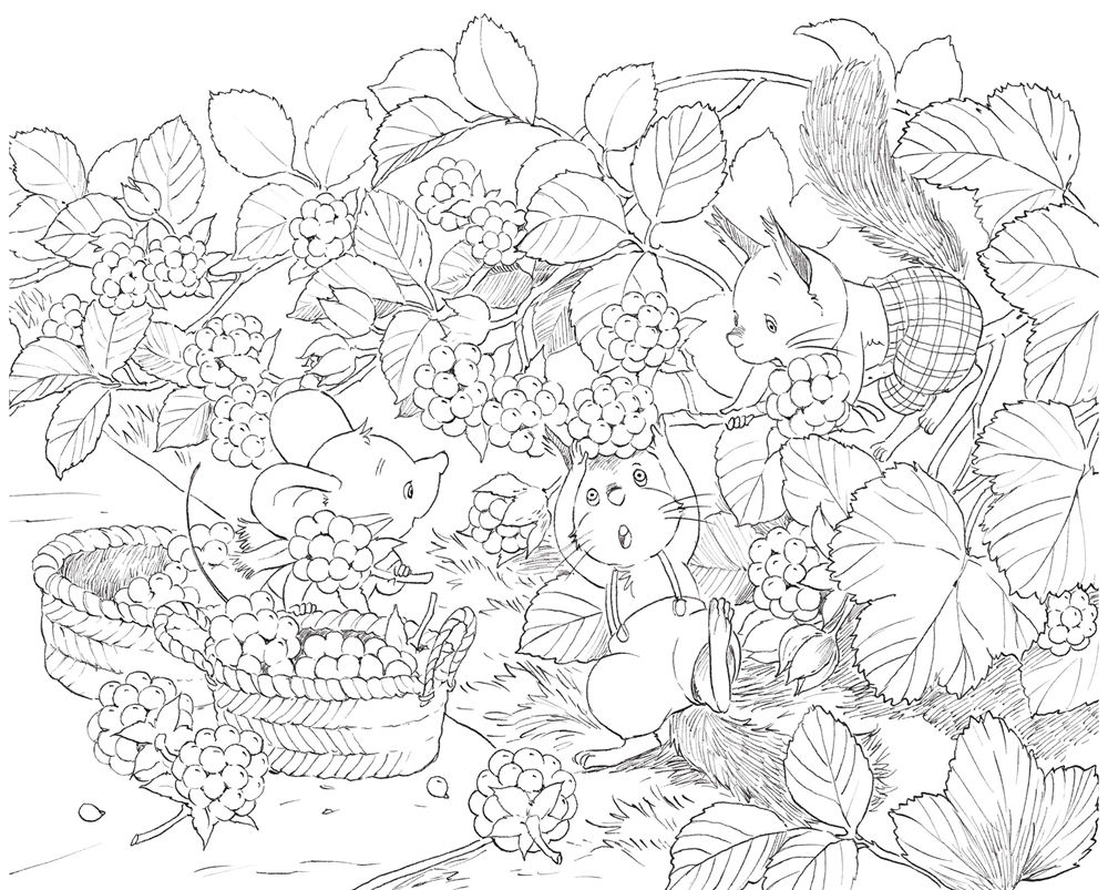 6-nature-sketch-blackberry-coloring-page.jpg Nature sketch coloring book page of mice and squirrels picking baskets of ripe blackberries together.