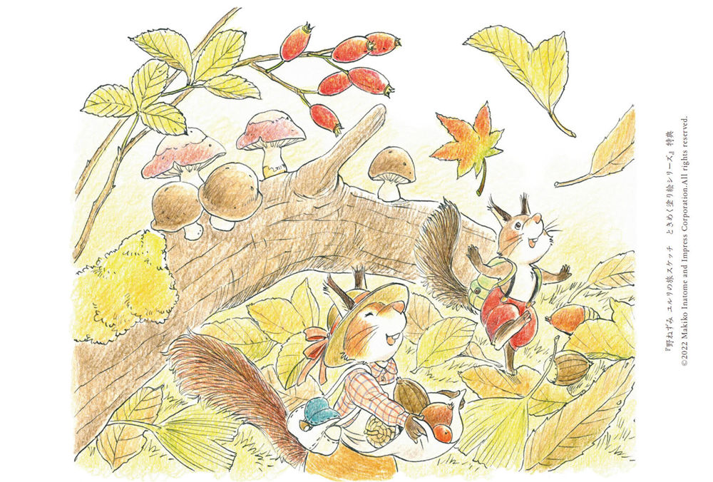 7-autumn-woodland-squirrel-coloring-page.jpg Autumn woodland coloring page of two squirrels gathering mushrooms, acorns, and rosehips beneath fallen leaves.