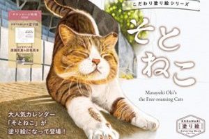 Celebrate the Beauty of Outdoor Cats with This Unique Cat Coloring Book