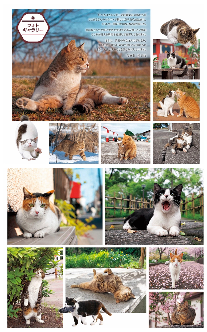 a Unique Cat Coloring Book~Celebrate the Beauty of Outdoor Cats Preview Download Kayliebooks