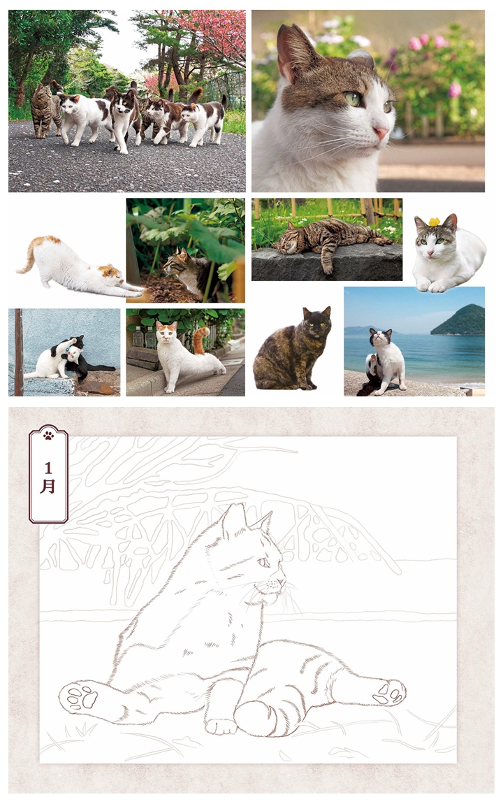 b Unique Cat Coloring Book~Celebrate the Beauty of Outdoor Cats Preview Download Kayliebooks