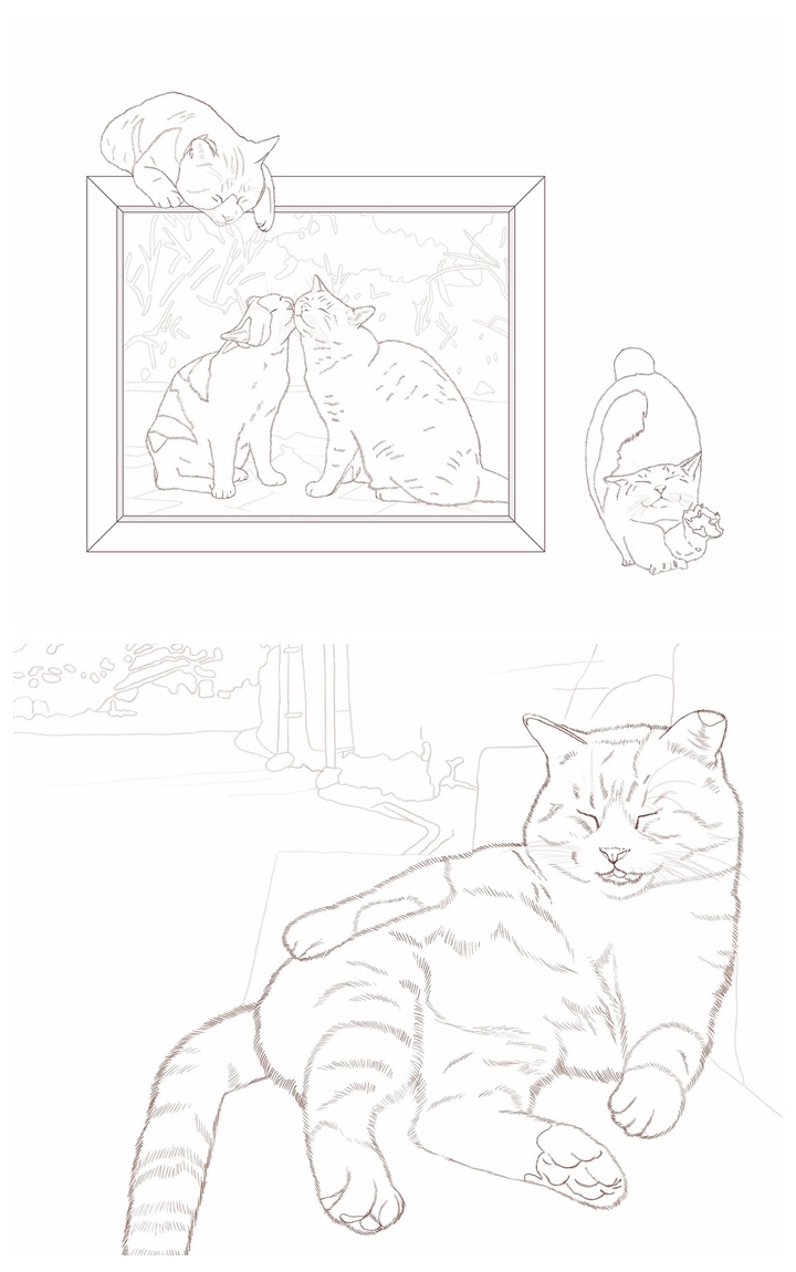c Unique Cat Coloring Book~Celebrate the Beauty of Outdoor Cats Preview Download Kayliebooks