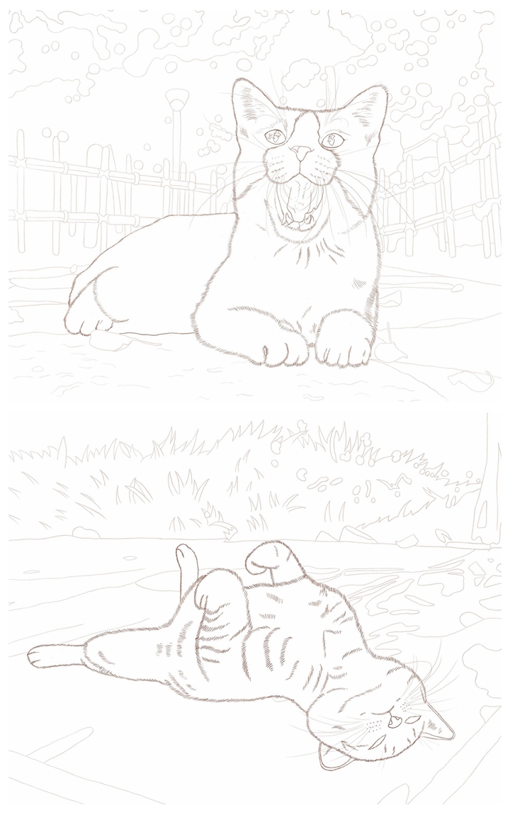 d Unique Cat Coloring Book~Celebrate the Beauty of Outdoor Cats Preview Download Kayliebooks