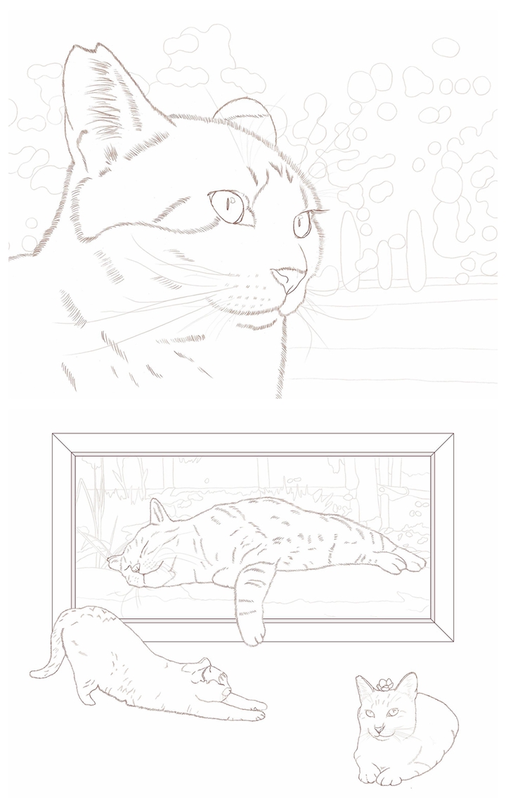 e Unique Cat Coloring Book~Celebrate the Beauty of Outdoor Cats Preview Download Kayliebooks