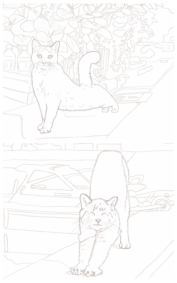 f Unique Cat Coloring Book~Celebrate the Beauty of Outdoor Cats Preview Download Kayliebooks